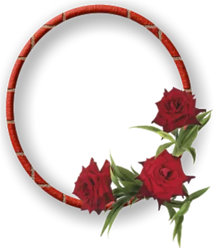 Elegant Red Rose Frame PNG Image