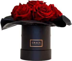 Elegant Red Rosesin Black Box PNG Image