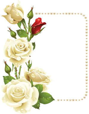 Elegant Rose Frame PNG Image