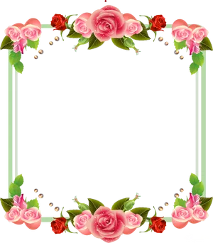 Elegant Rose Frame Design PNG Image