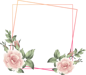 Elegant Rose Frame Design PNG Image