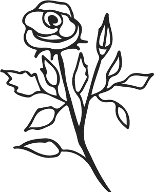 Elegant Rose Outline PNG Image