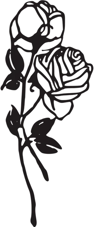 Elegant Rose Vector Silhouette PNG Image