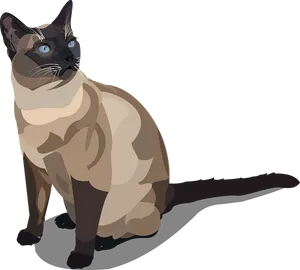 Elegant Siamese Cat Illustration PNG Image