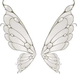 Elegant Silver Fairy Wings PNG Image