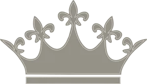 Elegant Silver Princess Crown PNG Image