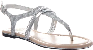 Elegant Silver Strappy Sandal PNG Image