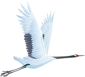 Elegant Swan In Flight PNG Image