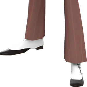 Elegant Two Tone Shoes PNG Image