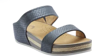 Elegant Wedge Sandal Isolated PNG Image