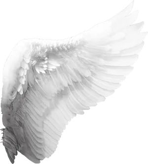 Elegant White Angel Wing PNG Image