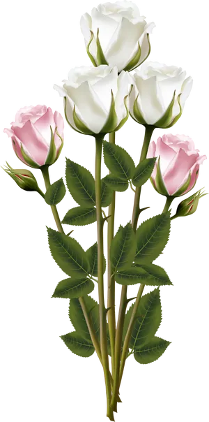 Elegant Whiteand Pink Roses Bouquet PNG Image