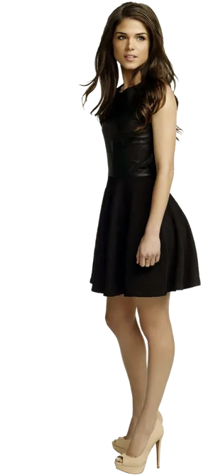 Elegant Womanin Black Dress PNG Image