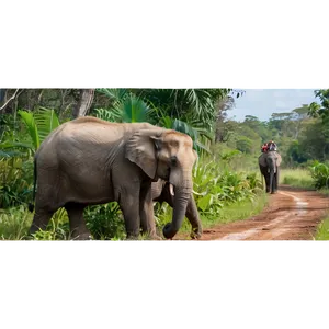 Elephant Safari Encounter Png 11 PNG Image