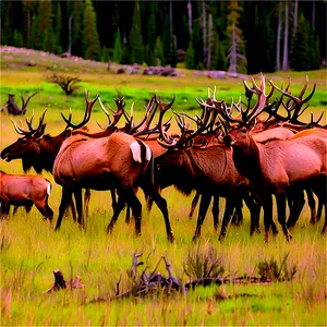 Elk Herd In Yellowstone Png 06112024 PNG Image