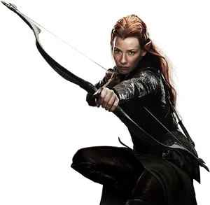 Elven Archer Readyfor Battle PNG Image