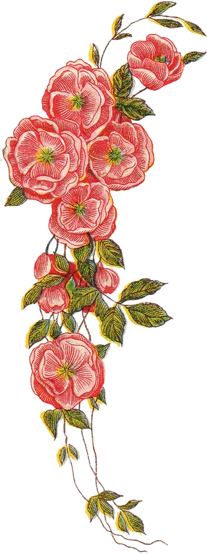 Embroidered Rose Vine Design PNG Image