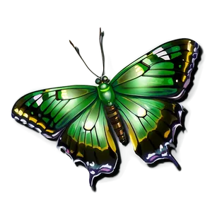 Emerald Winged Butterfly Illustration Png Adw14 PNG Image