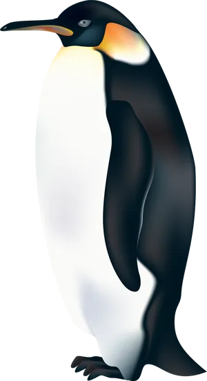 Emperor Penguin Illustration PNG Image