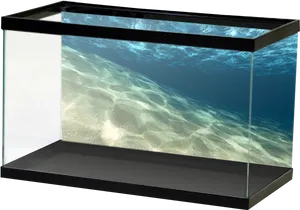 Empty Aquarium Sandy Bottom PNG Image