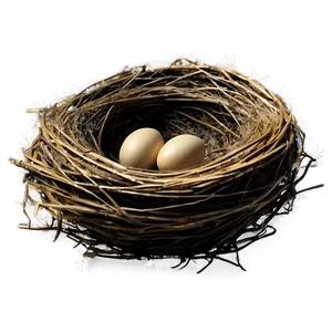 Empty Bird Nest Png Oau PNG Image