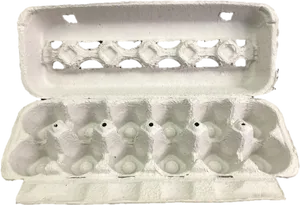 Empty Egg Carton Open Top View PNG Image