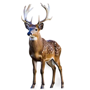 Enchanted Forest Buck Png 06252024 PNG Image