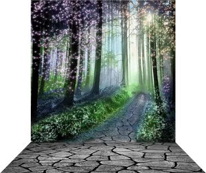 Enchanted Forest Pathway PNG Image