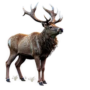 Enchanted Forest Stag Png 97 PNG Image