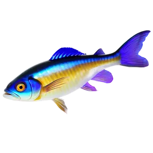 Enchanting Animated Fish Png 06292024 PNG Image