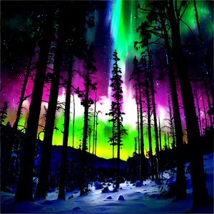 Enchanting Aurora Forest View Png Ilh PNG Image