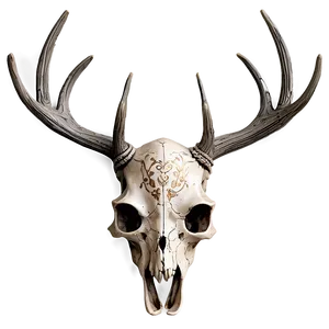 Engraved Deer Skull Detail Png Uxl PNG Image