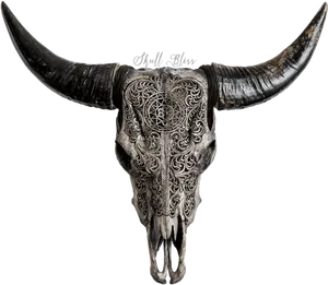 Engraved Goat Skullwith Horns PNG Image