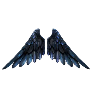 Enigmatic Black Wings Png 06232024 PNG Image