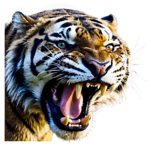 Enraged Tiger Roar Png Nby63 PNG Image