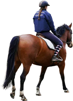 Equestrian_ Practice_ Session PNG Image