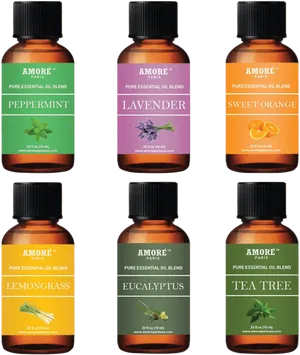 Essential Oil Collection Amore Paris PNG Image