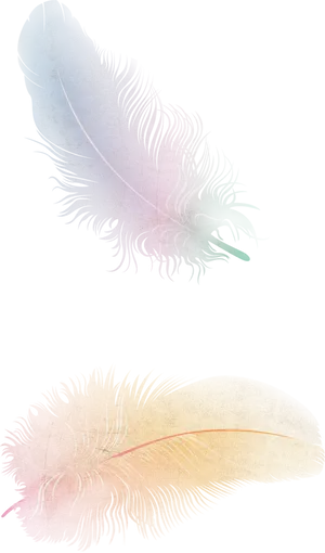 Ethereal Feathers Artwork PNG Image