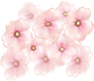 Ethereal Pink Blossoms PNG Image