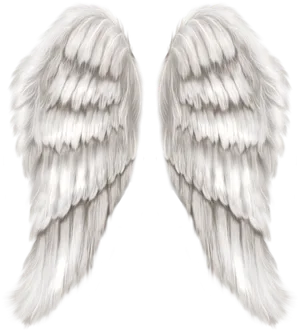 Ethereal White Angel Wings PNG Image