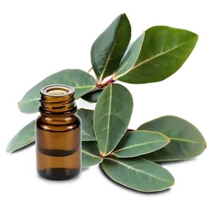 Eucalyptus Essential Oil Png 06292024 PNG Image