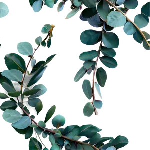 Eucalyptus Garland Png 06272024 PNG Image