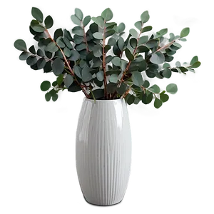 Eucalyptus In Vase Png Gsj76 PNG Image