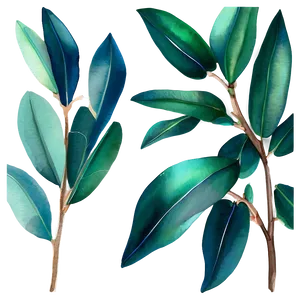 Eucalyptus Sprig Watercolor Png 2 PNG Image