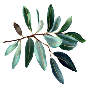 Eucalyptus Sprig Watercolor Png Isn PNG Image