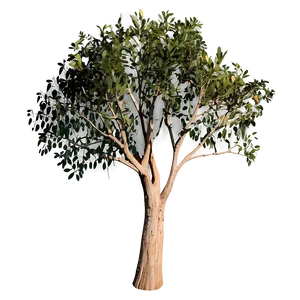 Eucalyptus Tree Silhouette Png Dmu PNG Image