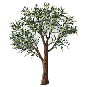 Eucalyptus Tree Silhouette Png Plf21 PNG Image