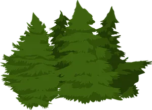 Evergreen Forest Illustration PNG Image