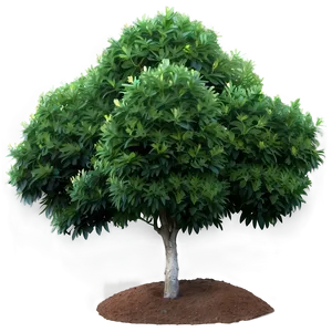 Evergreen Shrubs Png Cih71 PNG Image