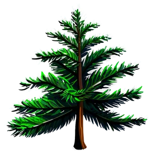 Evergreen Tree Shadow Png 06212024 PNG Image